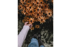 ワンヘルスで守ろう、私の大切なもの。WWFによるワンヘルス共同宣言！