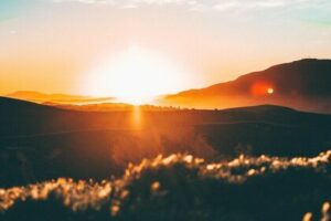 【ガイアの夜明け】ドローンジョプラスが1月26日（火）出演しました！