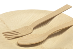 クラウドファンディング Organic Bambooプロジェクトを開始しました！